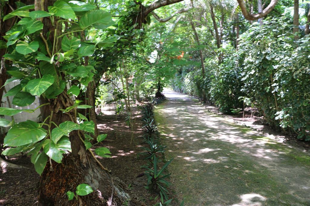 Pousada Ponta De Mangue มาราโกจี ภายนอก รูปภาพ
