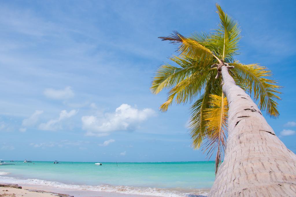Pousada Ponta De Mangue มาราโกจี ภายนอก รูปภาพ